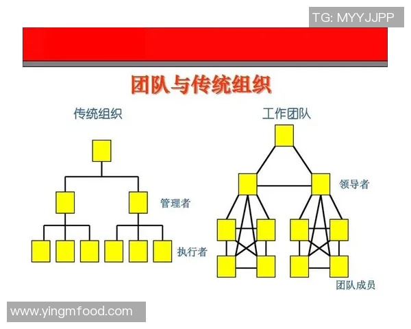 上海足球队在世锦赛中的团队协作展现与战术执行分析