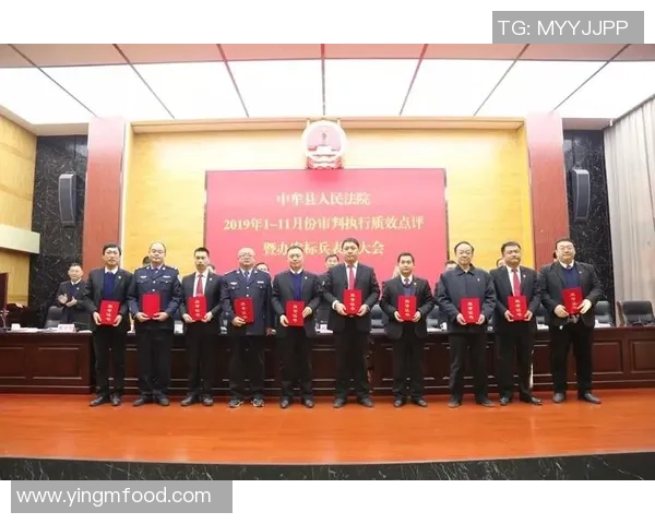 成都排球队在世界锦标赛中的团队协作表现分析与点评